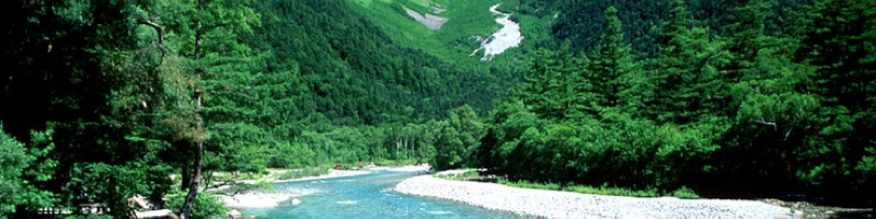 �\�����G���M�t�g���T�C�g